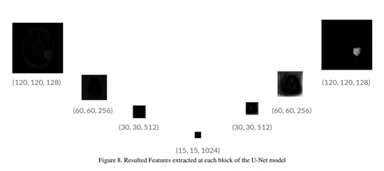 Data Augmentation using Feature Generation for Volumetric Medical Images